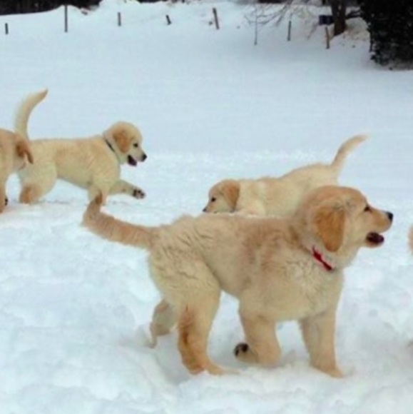 Meet your Posher, Mary - Picture 1 of 1